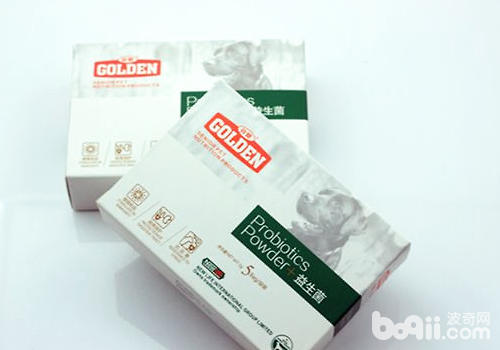 Efficacy and Application Notes of Probiotics for Dogs
